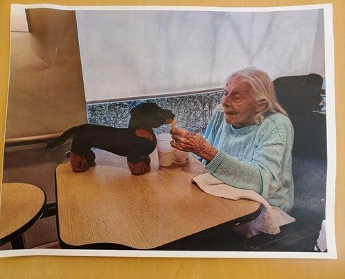 Until We Meet Again pet retirement